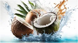 नारियल का पानी पीने से कौन सी बीमारियां ठीक हो सकती हैं सेहत के लिए वरदान साबित होगा कोकोनट वॉटर…