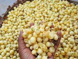 ये पिद्दू सा फल मिठाई जैसा स्वाद देता है,बॉडी के लिए गेमचेंजर ग्लूकोज जैसी ताकत भर देता है …