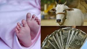 लड़का होने पर गाय तो लड़की सांसद ने दिया ऐसा ऑफर की मच गई खलबली होने पर मिलेंगे ₹50,000…