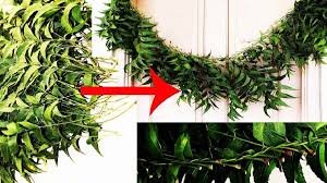 आखिर चैत्र नवरात्रि पर नीम के पत्तों से बना बंदनवार क्यों होता है बेहद शुभ, जानिए इसके पीछे का महत्व…