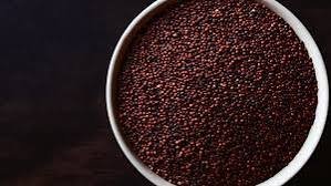 क्या सच है रागी खाने से वजन कम होता है, यदि हां, तो जानिए खाने का सबसे अच्छा तरीका