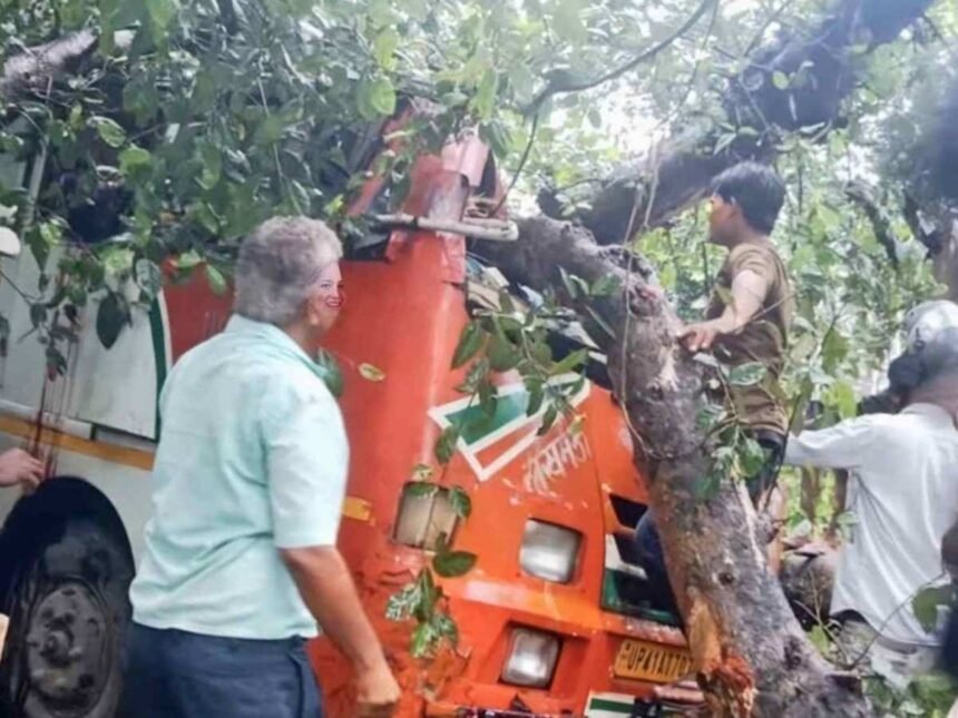 बेहद दर्दनाक हादसा, चलती बस में गिरा विशालकाय पेड़, चालक समेत 5 लोगों की मौके पर मौत