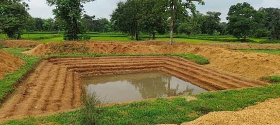 सामुदायिक प्रयासों का रहा बेहतरीन परिणाम संस्कारधानी को मिल रहा बेस्ट डिस्ट्रिक्ट का सम्मान…