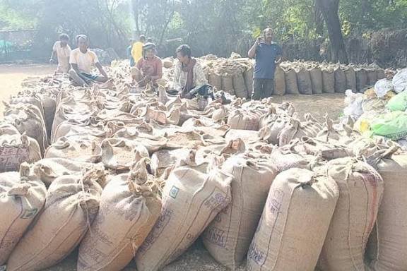 धान खरीदी में बड़ी लापरवाही, दो ग्रामीण कृषि विस्तार अधिकारीतत्काल प्रभाव से निलंबित…