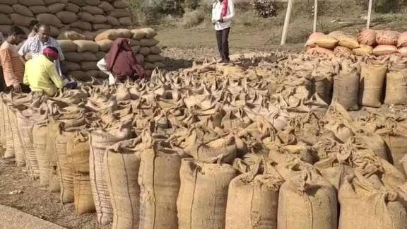 धान समर्थन मूल्य योजना राइस मिलर्स से उठाव के एग्रीमेंट फाइनल, डीओ जल्द…