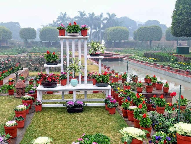 3 फरवरी से आम जनता के लिए खुलेगा राष्ट्रपति भवन का अमृत उद्यान, इतने मार्च 2026 तक कर सकेंगे भ्रमण…