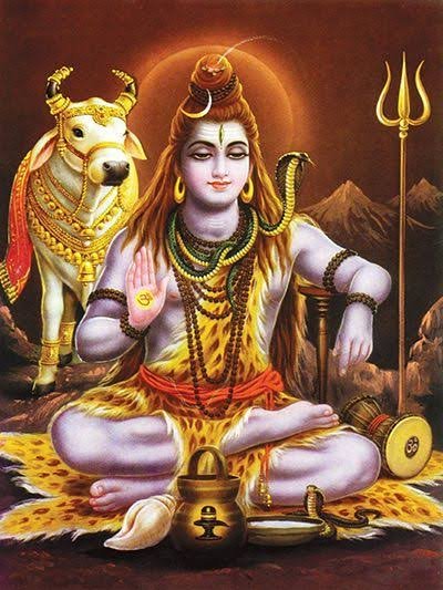 आखिर महादेव क्यों पहनते हैं सांपों की माला यहां से जानें वासुकी नाग और शिव का अटूट रिश्ता…