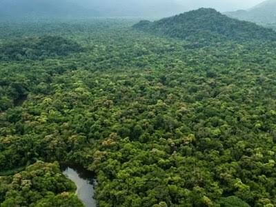 मध्य प्रदेश के बालाघाट जिले में है सबसे घना जंगल, चारों तरफ हरियाली जानिए…