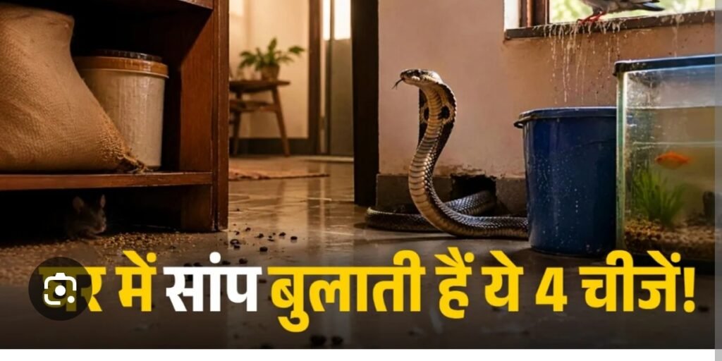 घर के आसपास रखी ये चीजें बन सकती हैं सांपों का अड्डा अनजाने में लोग खुद बुला लेते हैं ये खतरा…
