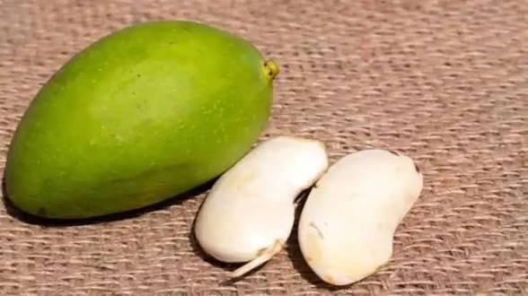 आम की गुठली फेंकने से पहले ये पढ़ लीजिए, इसके ये फ़ायदे कर देंगे हैरान…