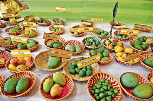 राजधानी में आज से राष्ट्रीय आम महोत्सव शुरू, ITI एडमिशन और बीजेपी अभियान समेत ये बड़े आयोजन…