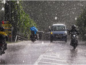 आखिर प्रदेश में कब आएगा मानसून मौसम विभाग के सैटेलाइट नहीं, इस पक्षी के अंडे बताते हैं कब और कितनी होगी बारिश…