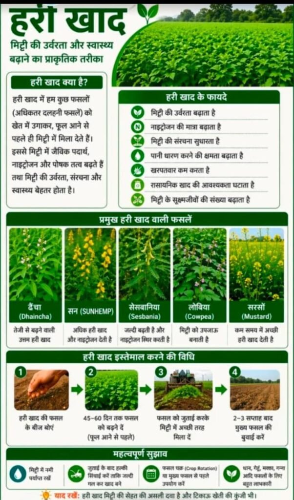 खरीफ 2026 धान और हरी खाद के बीजों का पर्याप्त भंडारण, किसानों को समय पर मिलेगा लाभ…
