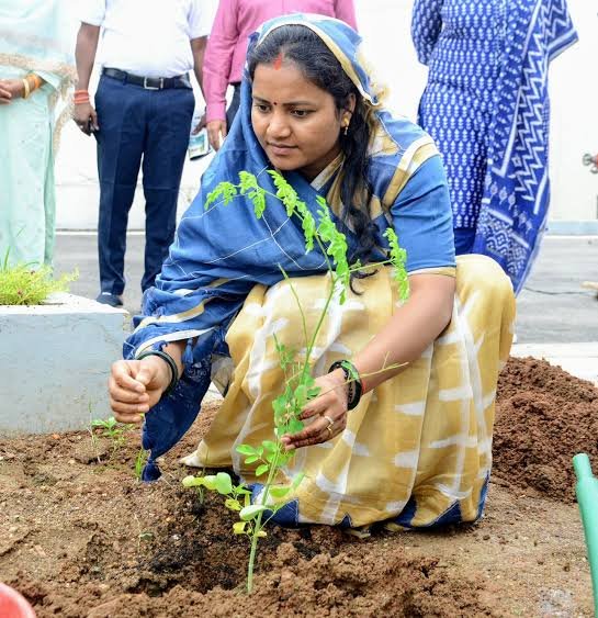 प्रदेश में ‘घर-घर मुनगा, हर घर सुपोषण’, मंत्री ने जनप्रतिनिधियों से किया व्यापक पौधरोपण का आह्वान…