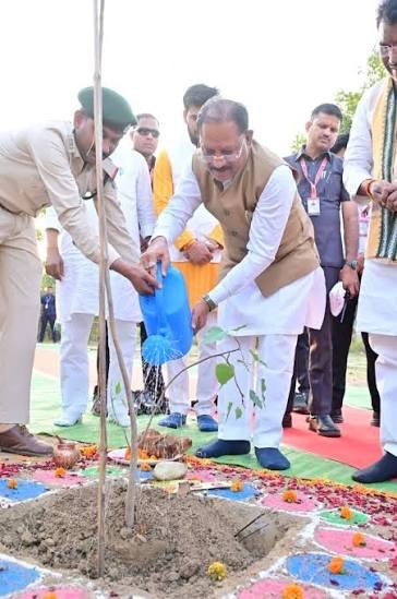 मुख्यमंत्री साय ने ‘एक पेड़ मां के नाम’ अभियान के तहत किया इस पेड़ का पौधारोपण..