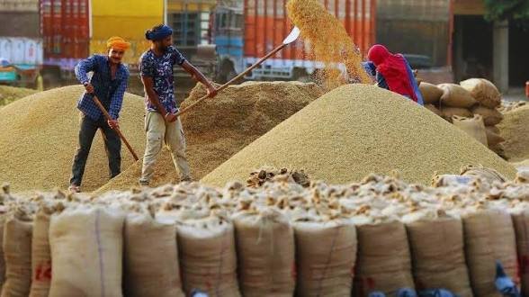 किसानों को बड़ी राहत प्रदेश के धान खरीदी केंद्रों में बनेगा आधुनिक इंफ्रास्ट्रक्चर, शेड-सह-चबूतरा निर्माण को मंजूरी, हर केंद्र को मिलेंगे इतने लाख रुपये…