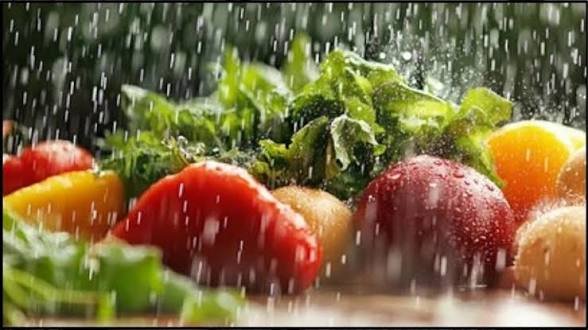 बारिश के मौसम में ये 5 सब्जियां जरूर खाएं, बनी रहेगी सेहत…