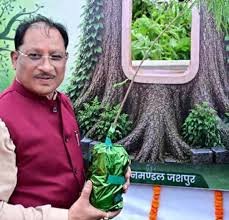 आज लगाया गया हर पौधा आने वाली पीढ़ियों के सुरक्षित भविष्य का आधार बनेगा : मुख्यमंत्री साय…