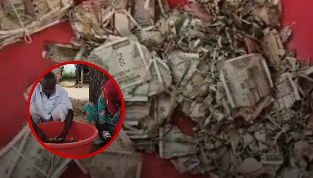 ₹5 लाख बचाने के चक्कर में किसान ने गंवा दिए पूरे पैसे, खेत में दबाए नोटों को इसने किया बर्बाद…
