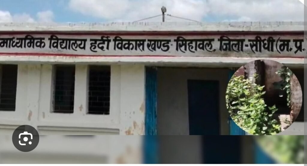 इस जिले के सरकारी स्कूल की बदहाल तस्वीर…नेटवर्क के लिए भटकते शिक्षक, छत-दीवारों से निकली सरिया; पास में पानी से भरे बड़े गहरे…