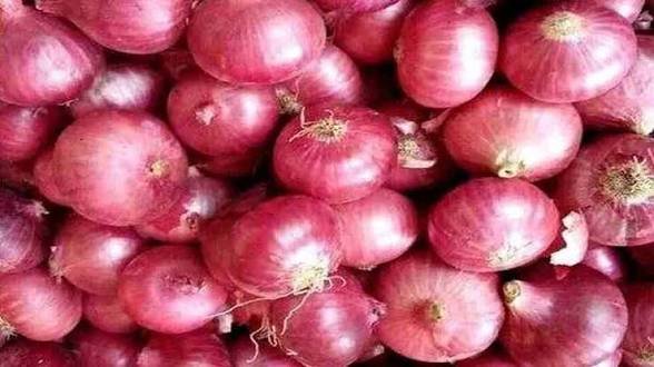 प्याज की कीमतों में 59% की उछाल, अब सरकार ने लिया ये बड़ा फैसला आम आदमी को ऐसे मिलेगी राहत…