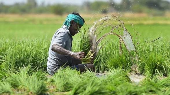 अब प्राकृतिक आपदाओं की चिंता हुई दूर, फसल नुकसान पर सरकार देगी बड़ा मुआवजा, बीमा को लेकर दिखा किसानों में…