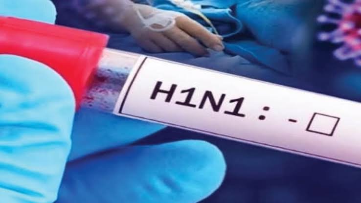 दुर्ग में स्वाइन फ्लू की बढ़ी चिंता, H1N1 के 13 मरीज मिले, जानिए अभी और कितने अस्पताल में…
