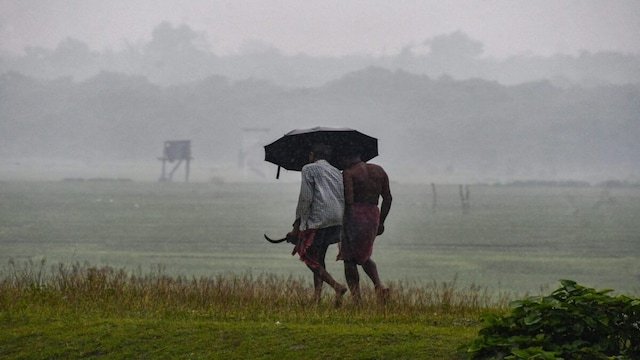 प्रदेश में थमी बारिश की रफ्तार, आज इन इलाकों में बूंदाबांदी के आसार…