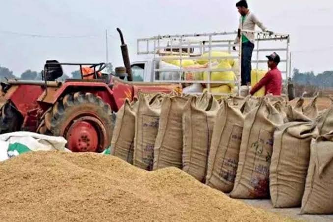 15 नवंबर से शुरू होगी धान खरीदी, 273 चेक पोस्ट पर बढ़ेगी निगरानी; तस्करी करने वालों पर होगी ये कार्रवाई…